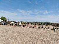 Faucheuses (ph. F. Mrugala, St Jean de Touslas)(1)